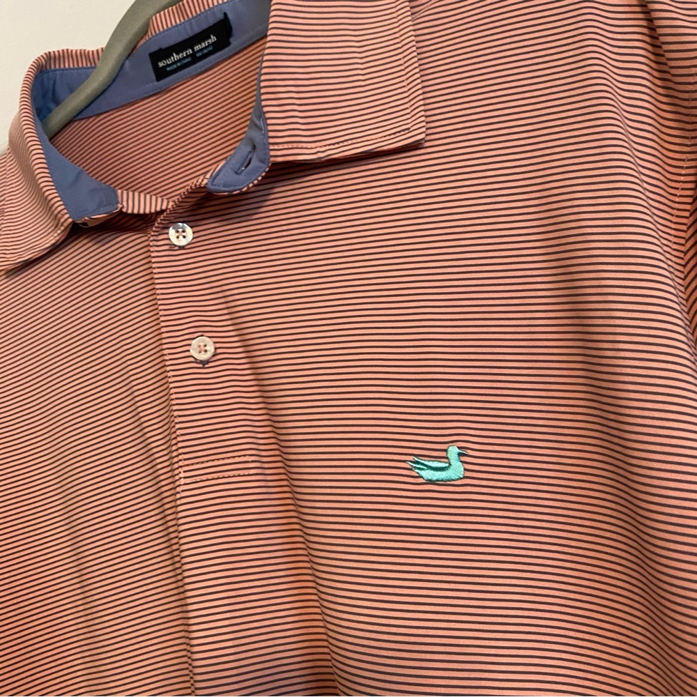 Southern Marsh Polo